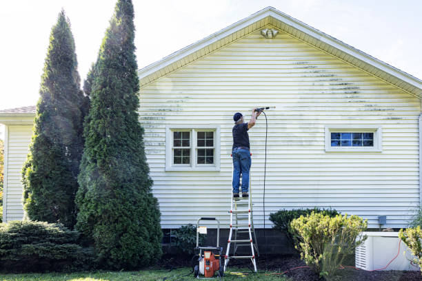 Best Deck Pressure Washing  in Eagle Grove, IA