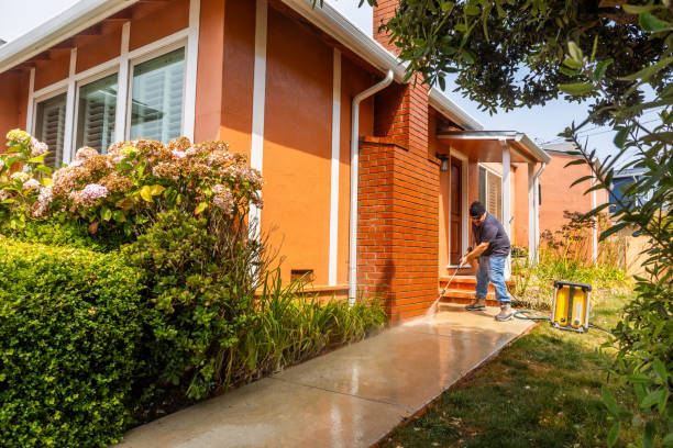 Best Sidewalk Pressure Washing  in Eagle Grove, IA