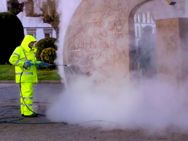 Best Local Pressure Washing Services  in Eagle Grove, IA